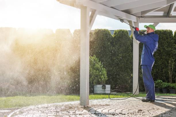 Best Animal Enclosure Cleaning  in Belleair, FL